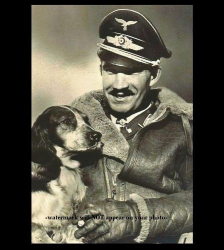 German fighter ace - ace, adolf