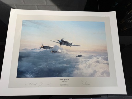 Flight eagles robert - eagles,
